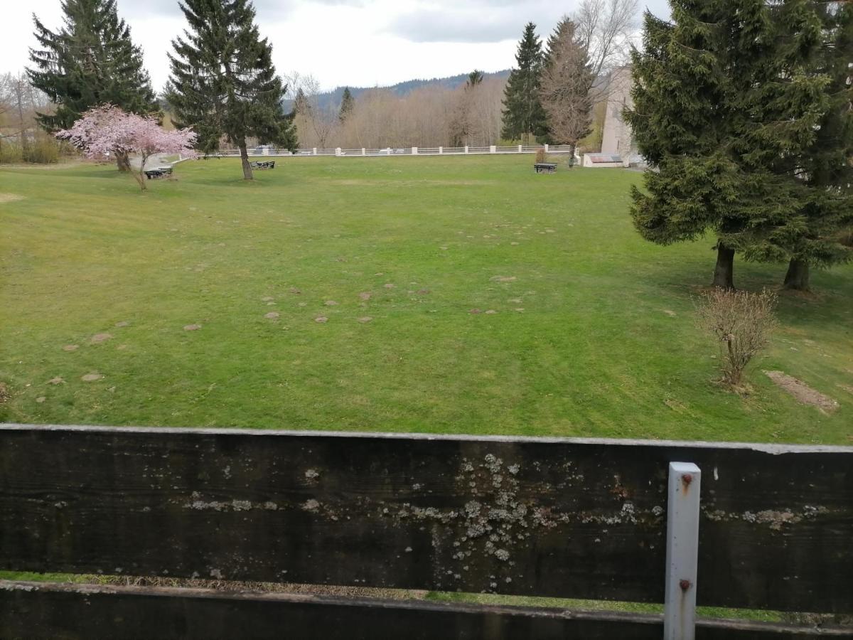 2-Raum Appartement Saxo Sankt Englmar Esterno foto